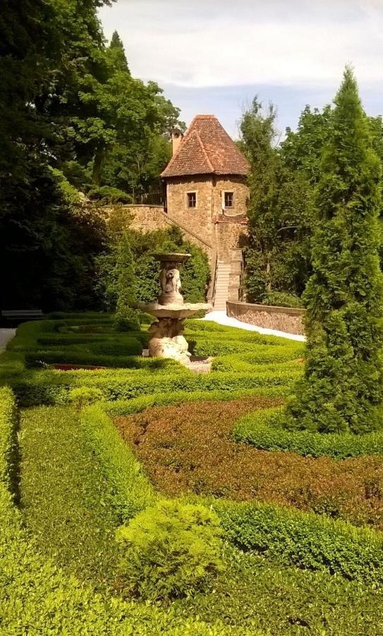 Ferienwohnung Minisowa Jedlina-Zdroj Exterior foto