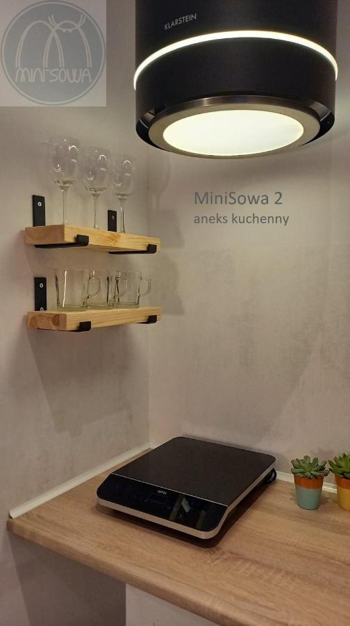 Ferienwohnung Minisowa Jedlina-Zdroj Exterior foto